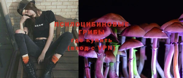 кристаллы Осинники