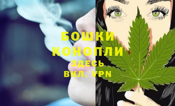 дурь Нягань