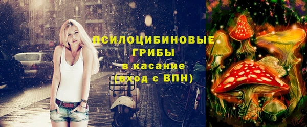 кристаллы Осинники