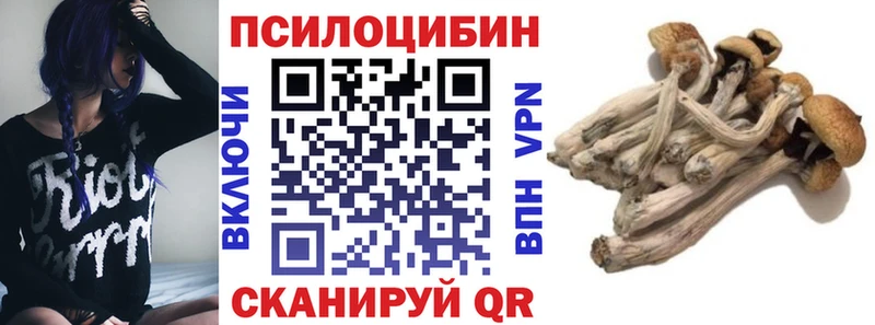 Купить закладки  Махачкала  Псилоцибиновые грибы GOLDEN TEACHER 